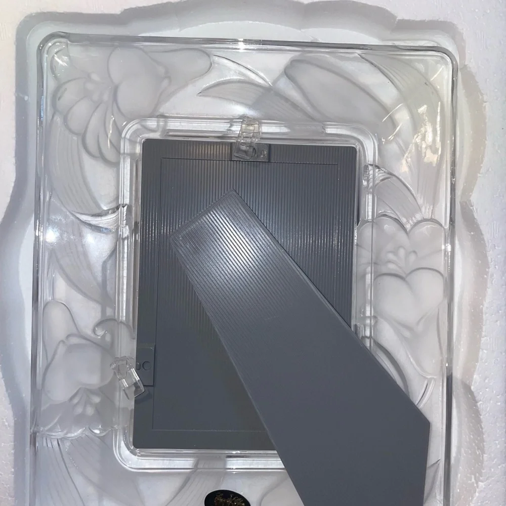 NWT ABSOLUTELY GORGEOUS FROSTED CRYSTAL CLEAR SIGNATURES RECTANGLE PICTURE FRAME